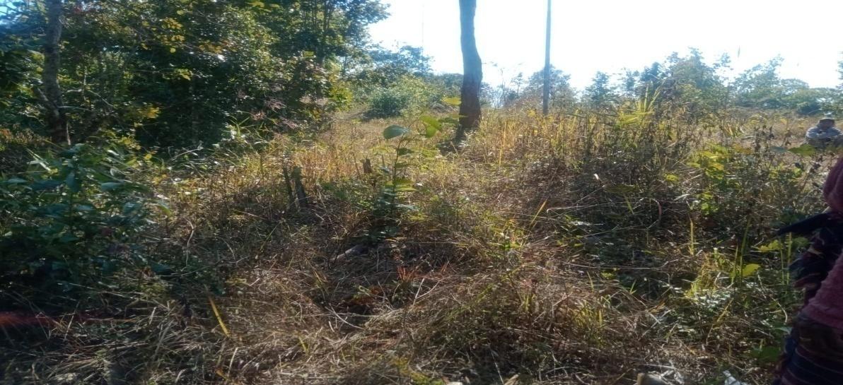 C:\Users\Lavinia Pde\Pictures\Camera Roll\IMG-20220713-WA0028.jpg